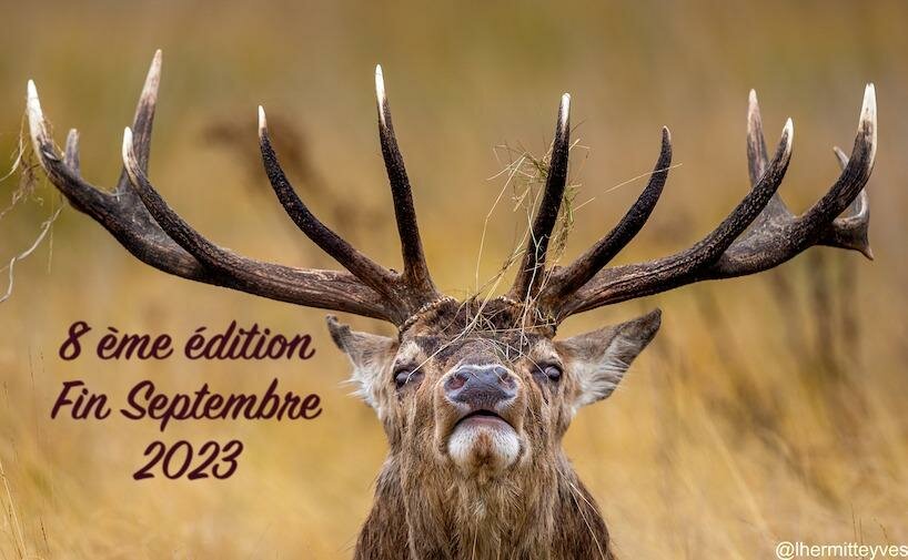 Edition8